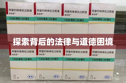 揭阳探索背后的法律与道德困境