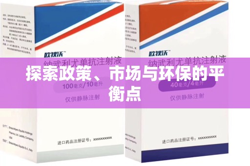 揭阳探索政策、市场与环保的平衡点