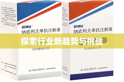 揭阳探索行业新趋势与挑战