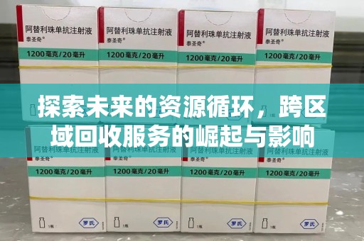 揭阳探索未来的资源循环，跨区域回收服务的崛起与影响