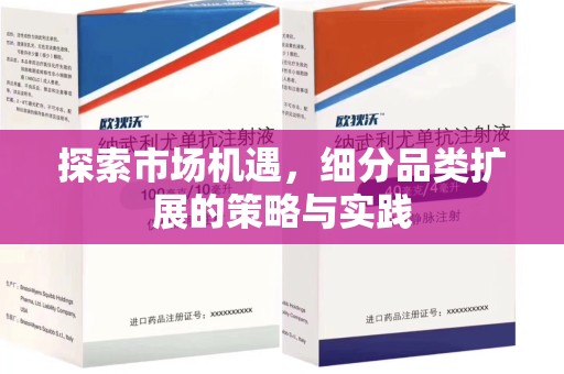 揭阳探索市场机遇，细分品类扩展的策略与实践