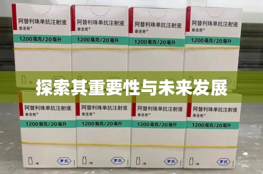 揭阳探索其重要性与未来发展