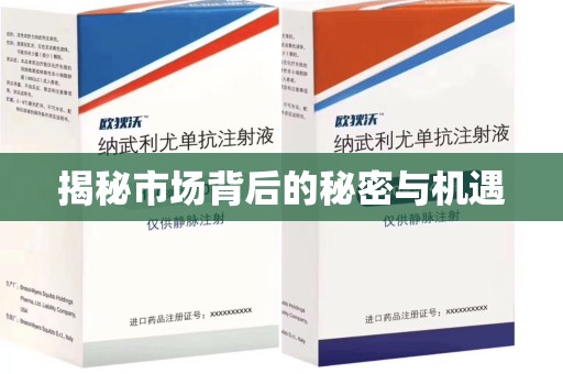 揭阳揭秘市场背后的秘密与机遇