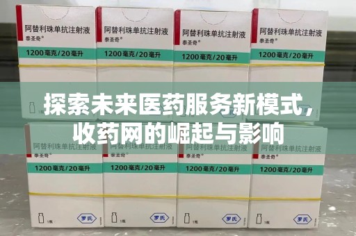 揭阳探索未来医药服务新模式，收药网的崛起与影响