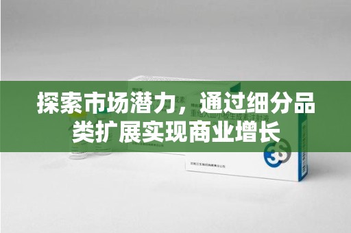揭阳探索市场潜力，通过细分品类扩展实现商业增长
