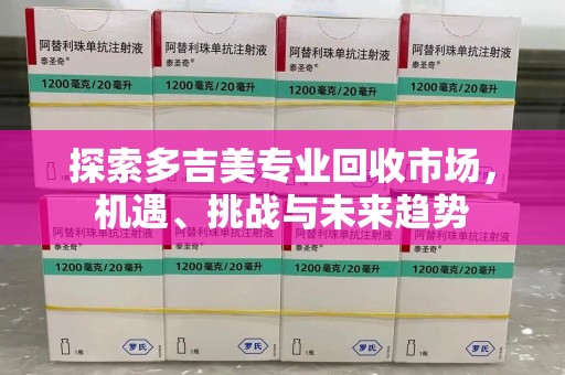 揭阳探索多吉美专业回收市场，机遇、挑战与未来趋势