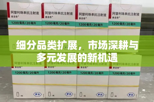 揭阳细分品类扩展，市场深耕与多元发展的新机遇