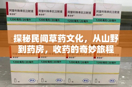 揭阳探秘民间草药文化，从山野到药房，收药的奇妙旅程
