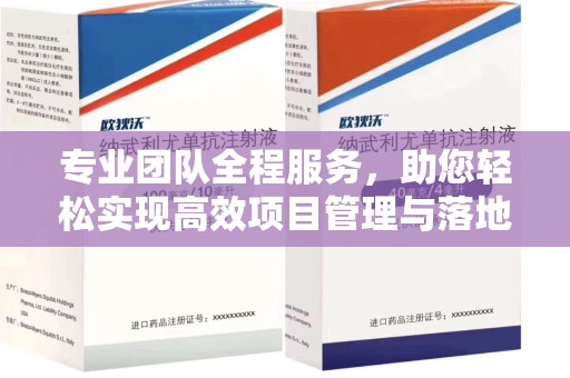 揭阳专业团队全程服务，助您轻松实现高效项目管理与落地